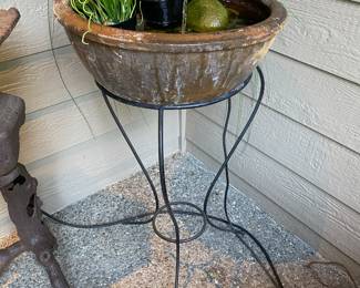 Corkscrew Ornamental Grass, Bulrush Ornamental Grass