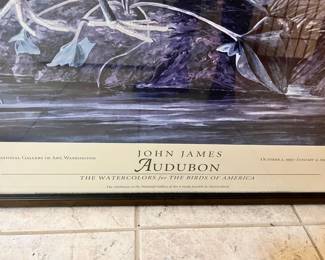 Snowy Heron Print by John James Audubon 