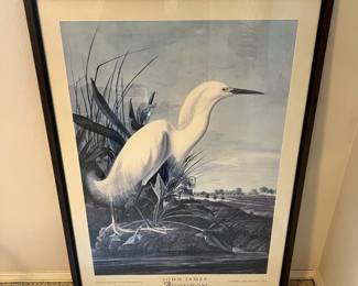 Snowy Heron Print by John James Audubon 