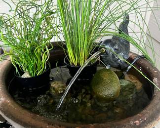 Corkscrew Ornamental Grass, Bulrush Ornamental Grass