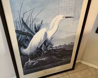 Snowy Heron Print by John James Audubon 