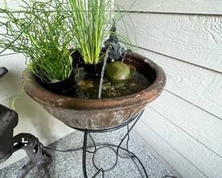 Corkscrew Ornamental Grass, Bulrush Ornamental Grass