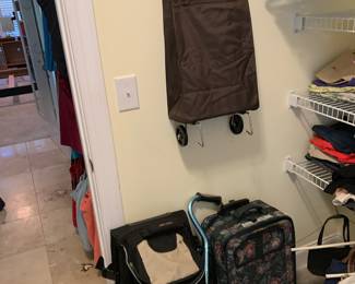 Luggage and walking cane