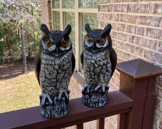 Owl decor