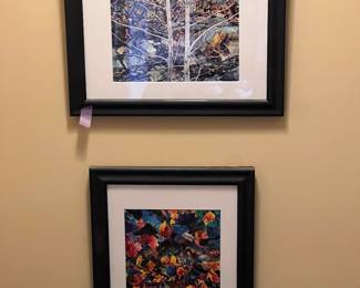 Framed fall photos