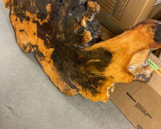 Beautiful Petrified Wood Table Top