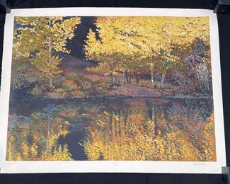 001 Aspen Pool 92 190 Signed By Tim Saska