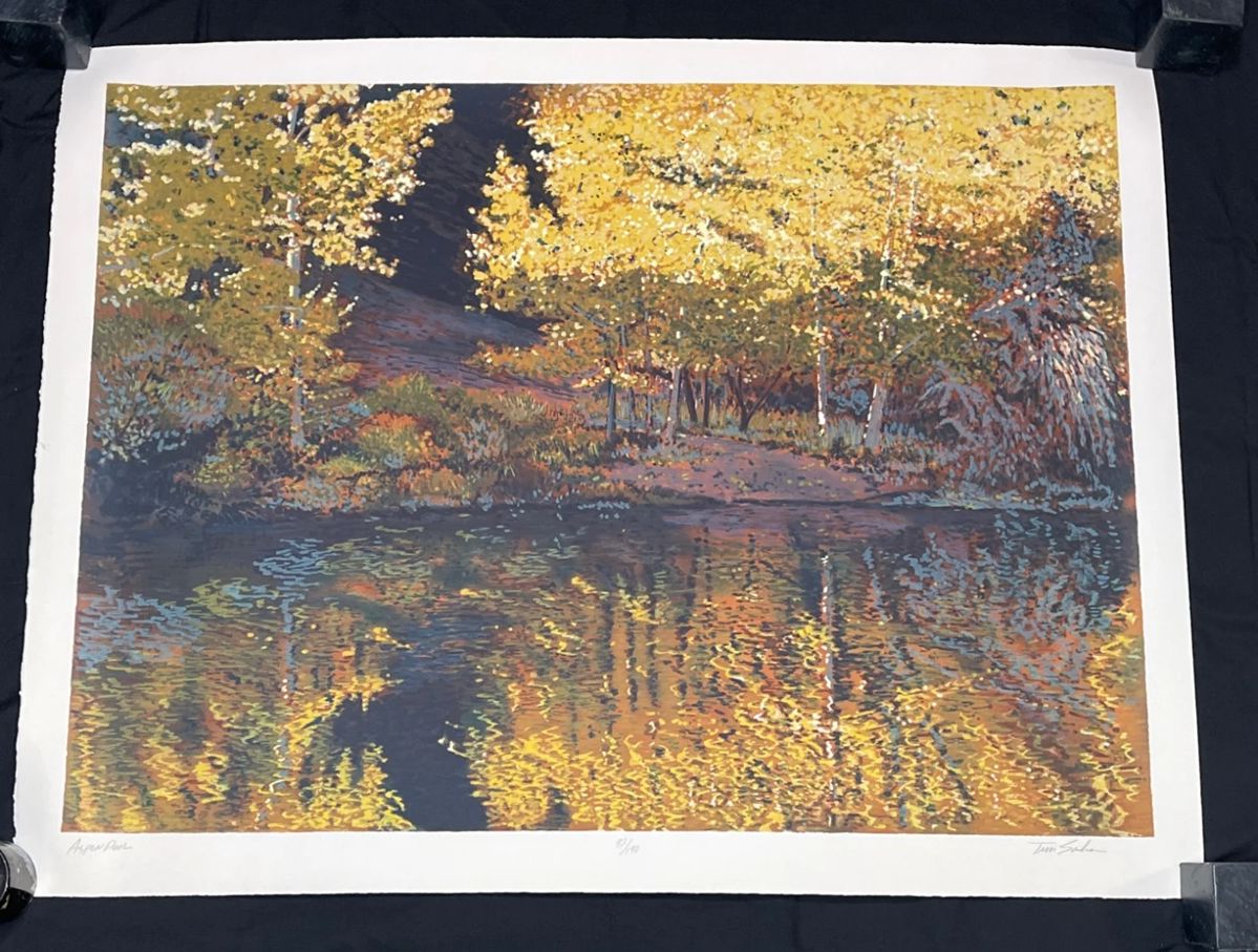 001 Aspen Pool 92 190 Signed By Tim Saska