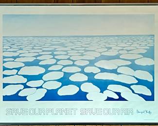 012 Framed Save Our Planet Georgia OKeefe Poster