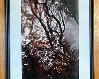 Abstract, Robert Leasure, 1989, A Black Mountain Original, The Last Deer in the Last Rain Forest