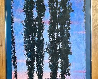 The Santa Fe Opera 1988 With Opera Program Booklets