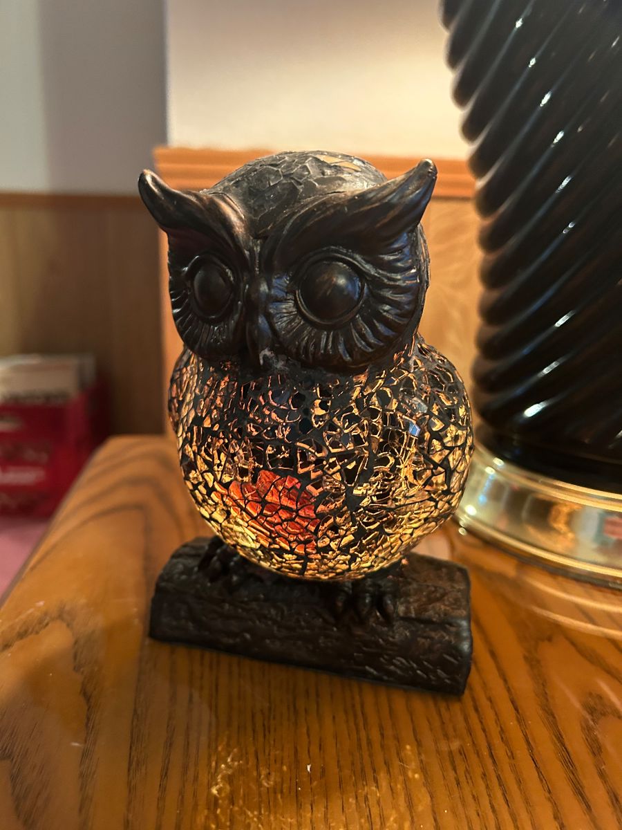 SD Bowman in Spring Hill EVERYTHING GOES! starts on 10/19/2023