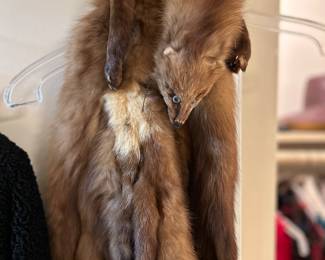 Help us find him a new home 