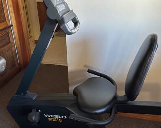 Weslo stationary bike