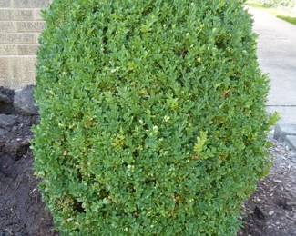 Go to Description & Details page and click on View More for prices & info