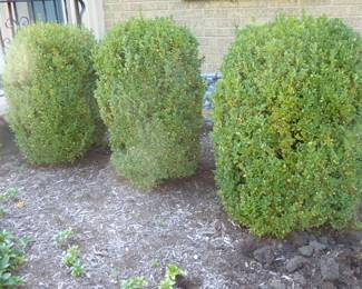 Go to Description & Details page and click on View More for prices & info