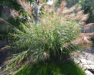 Go to Description & Details page and click on View More for prices & info