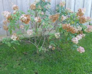 Go to Description & Details page and click on View More for prices & info