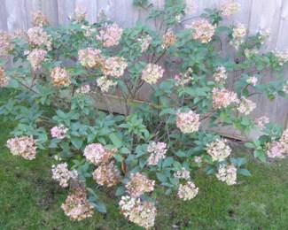 Go to Description & Details page and click on View More for prices & info