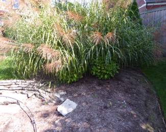 Go to Description & Details page and click on View More for prices & info