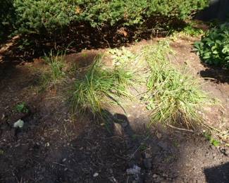 Go to Description & Details page and click on View More for prices & info