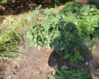 Go to Description & Details page and click on View More for prices & info