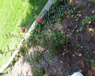 Go to Description & Details page and click on View More for prices & info