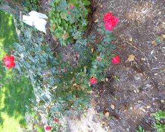 Go to Description & Details page and click on View More for prices & info