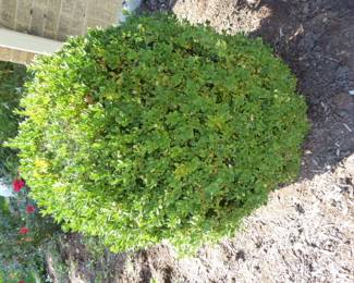 Go to Description & Details page and click on View More for prices & info