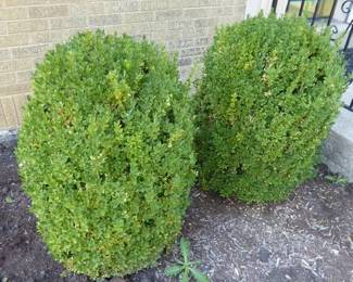 Go to Description & Details page and click on View More for prices & info