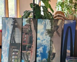 St Louis Remembered Canvas Pints