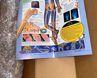 My First Skeleton $8.00