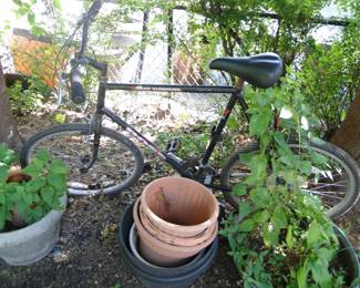 Bicycle, planter pots