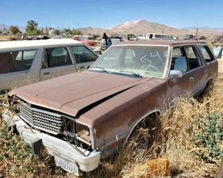 #642 • 1981 Ford Fairmount
