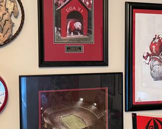 UGA VI, Sanford Stadium