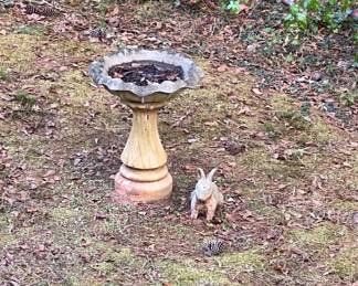 Bird bath; outdoor statues (bunny)