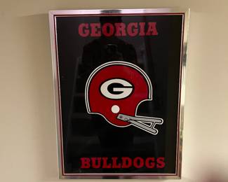 Georgia Bulldogs