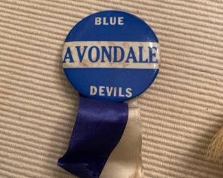 Avondale Blue Devils