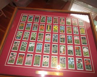 Cigarette packs from 1925 all framed