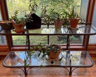 Glass and Metal 2Tier Plant Table