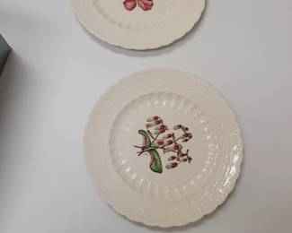 Vintage COPELAND SPODE JEWEL England BERMUDA FLOWERS LIFE PLANT 9" Luncheon Plate