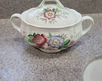 Royal Doulton Malvern pattern