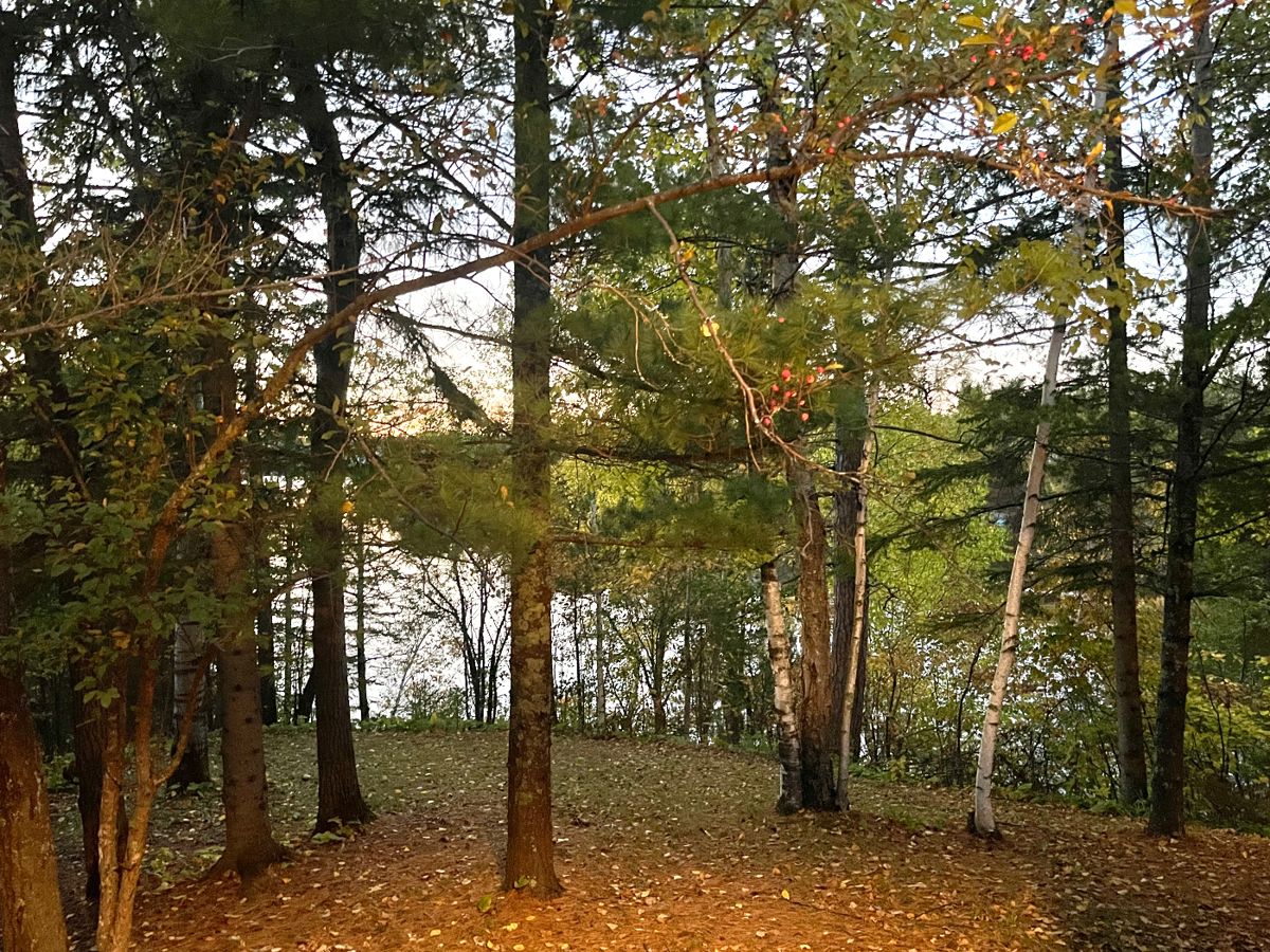 ESTATE of VALUE Billings Drive Estate Sale! starts on 10/21/2023