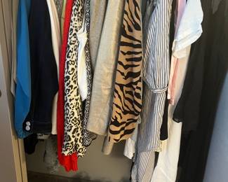 Most clothing items in the L or XL size - Lingerie and sleepwear in this closet