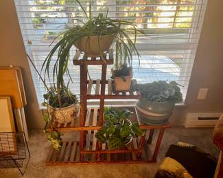 Plants for sale!  And, the stand