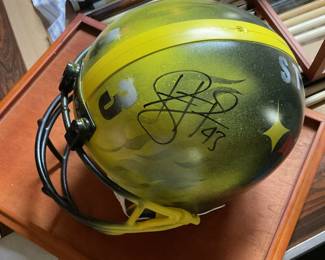 Troy Polamalu helmet signed by him and John Ross modified and signed 