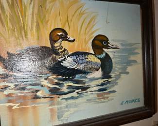 Kovacks Ducks