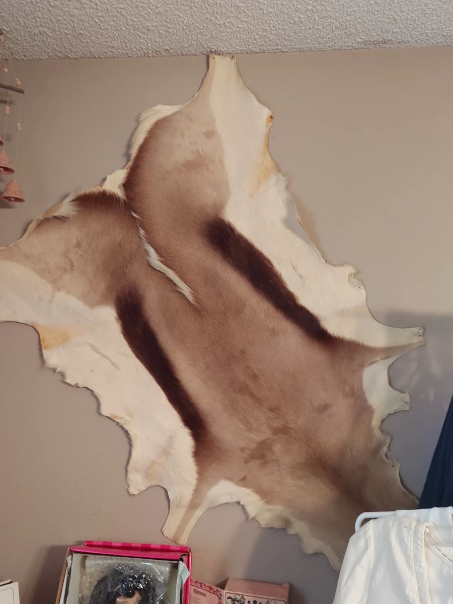 Builders/Remodeling Must Go Sale Scurry, TX starts on 11/3/2023