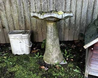 birdbath