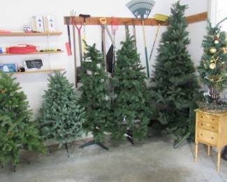 Several nice Christmas trees, with lights. Large tree has extra bottom layer to make taller.